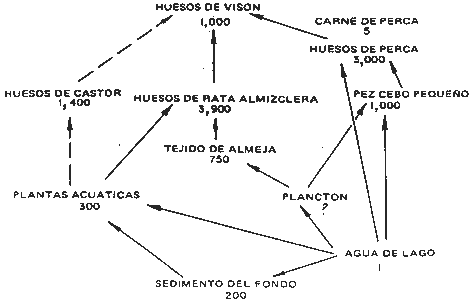 Exercici A. Pregunta 2