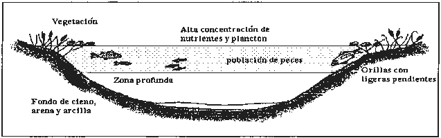 Exercici A. Pregunta 3