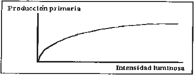 Ejercicio B. Pregunta 2