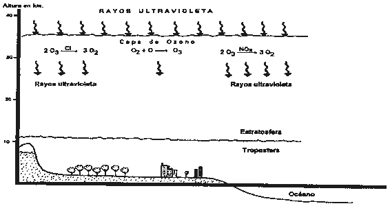 Haz clic en la imagen para ver la imagen con más detalle