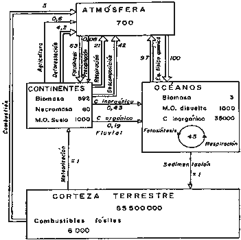 Haz clic en la imagen para ver la imagen con más detalle