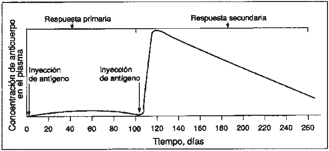 Bloc 4. Opció B